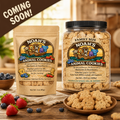 Noah’s Animal Cookies – All-Natural Blueberry & Strawberry Snack (Resealable Bag & Family Size Jar)